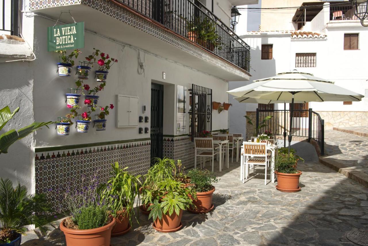 La Vieja Botica Bed & Breakfast Canillas de Aceituno Eksteriør bilde